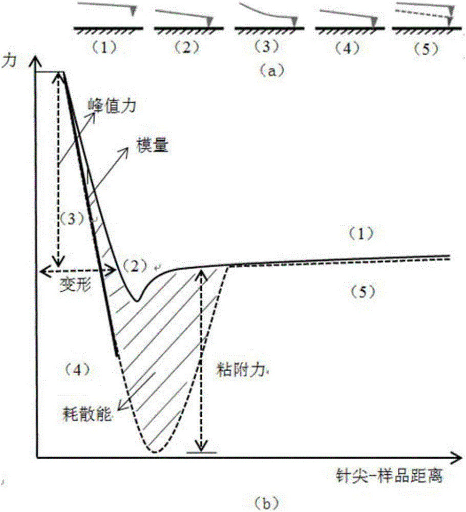 Mechanical characteristic researching method of asphalt mixture based on atomic force microscopic technology