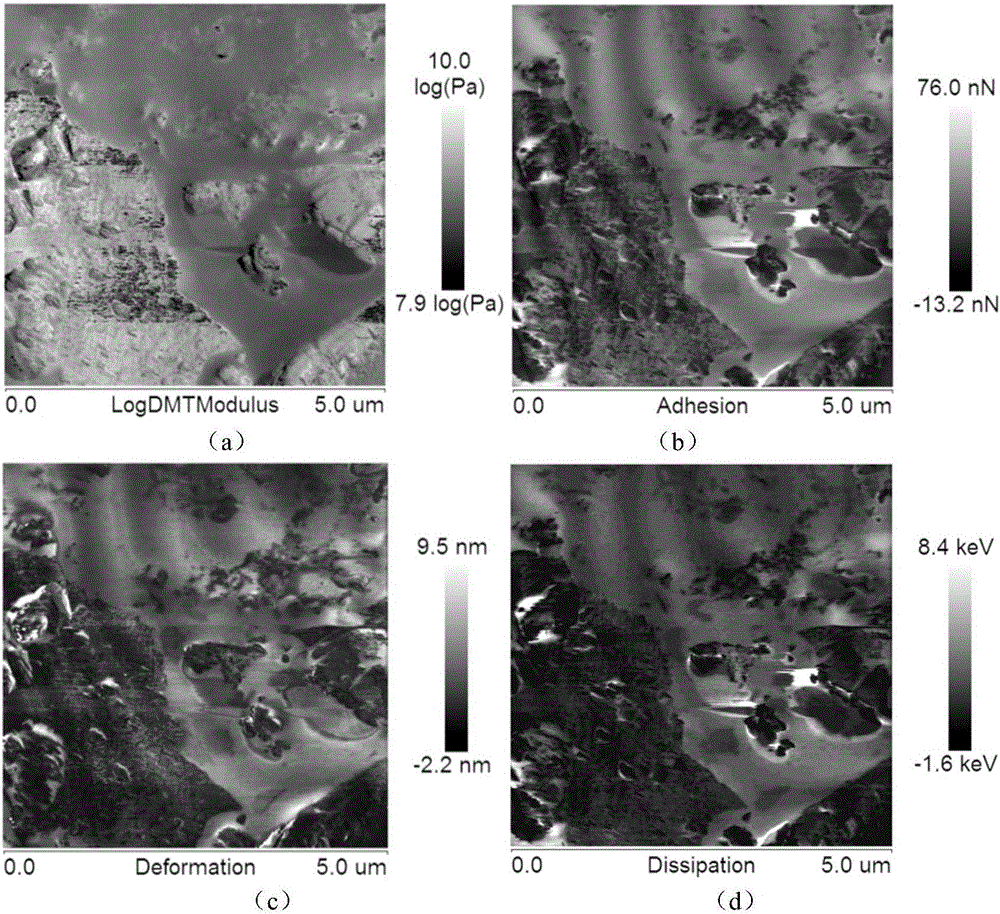 Mechanical characteristic researching method of asphalt mixture based on atomic force microscopic technology