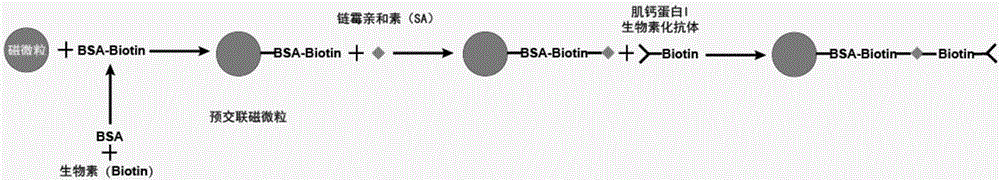 Troponin I monoclonal antibody magnetic particles and preparation method thereof, and detection kit