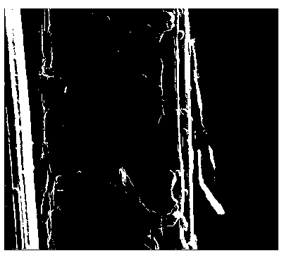 Emulsion type carbon fiber sizing agent containing graphene oxide and preparation method thereof