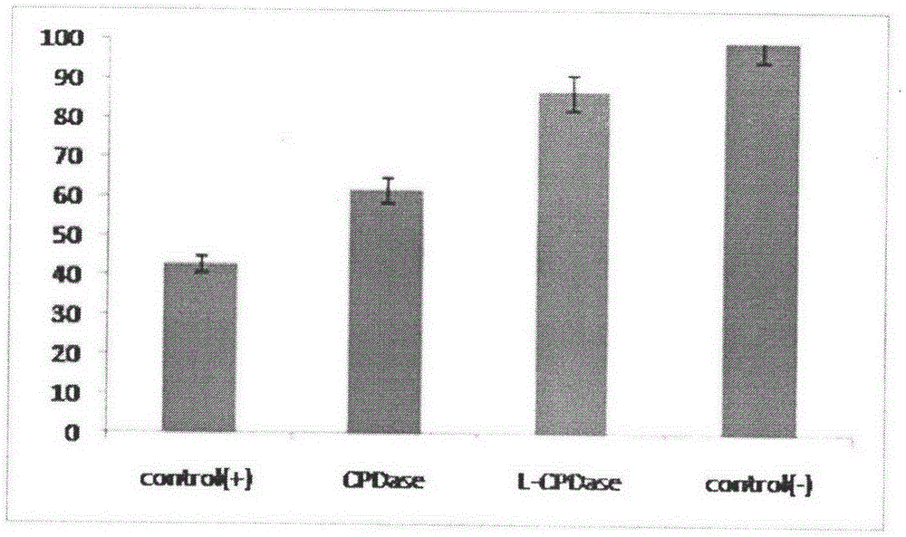 A kind of preparation method of cyclobutane pyrimidine dimer photorepair enzyme liposome