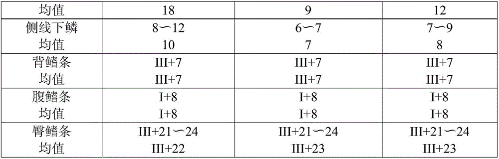 Establishment method and fry culture method of heterologous hybrid culter strain