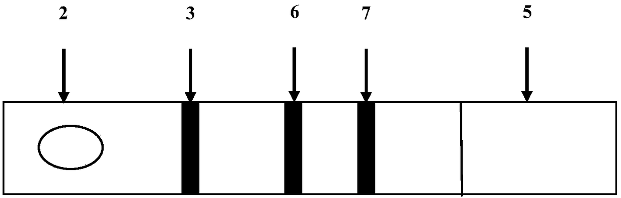 Colloidal gold test paper card for detecting bladder cancer and preparation method thereof