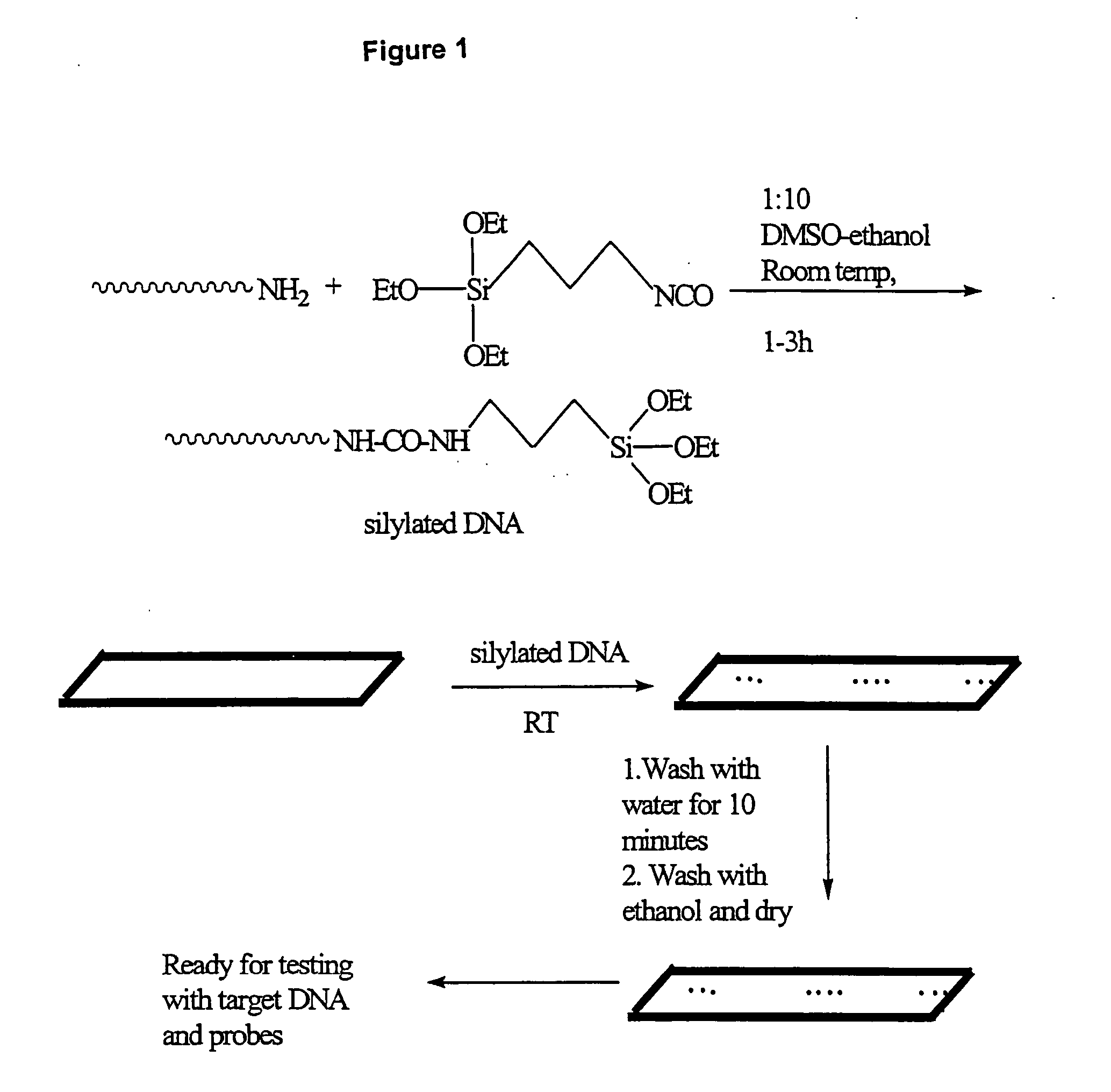 Method for preparing substrates having immobilized molecules and substrates