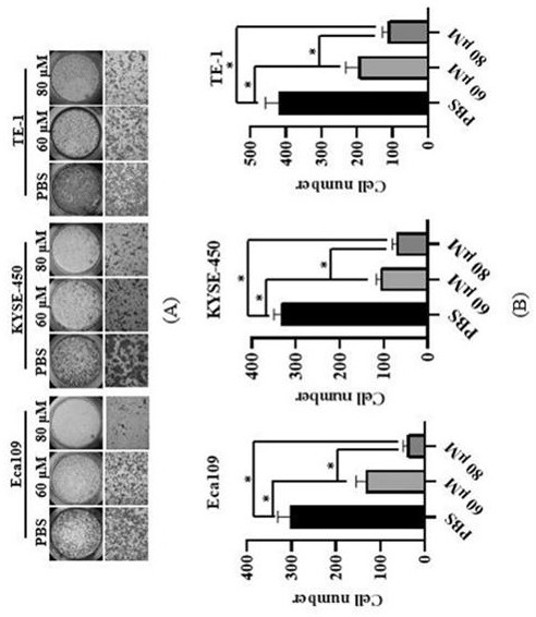 New medical application of propranolol