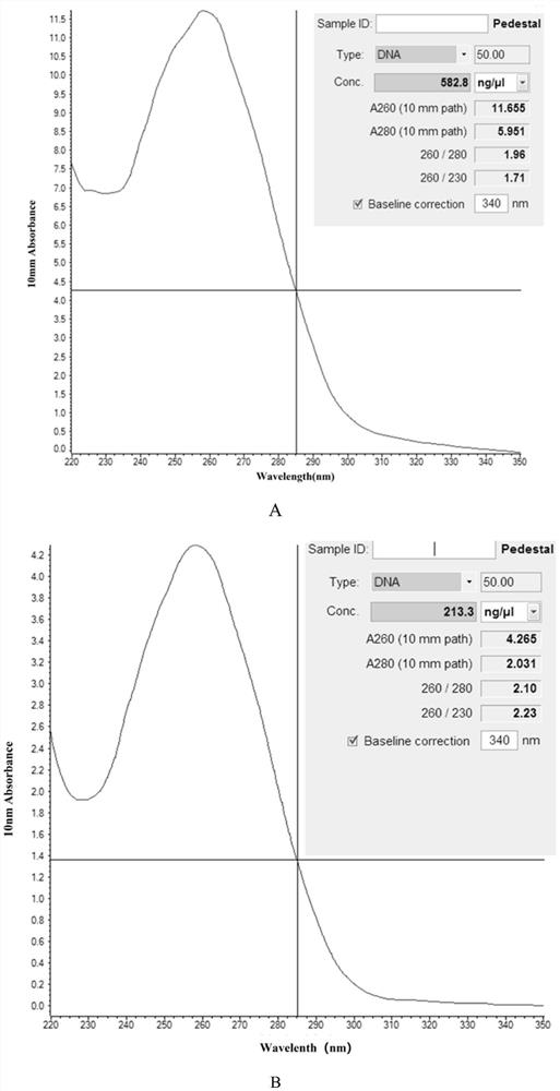 A simple and effective reagent and method for extracting genomic DNA of plant pathogenic fungi