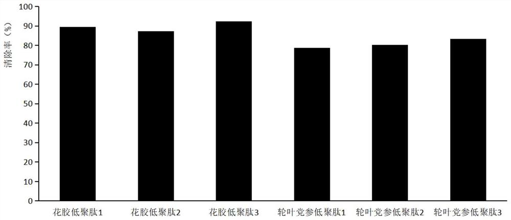 Anti-skin-aging composition containing fish maw and codonopsis lanceolata oligopeptide as well as preparation method and application of anti-skin-aging composition