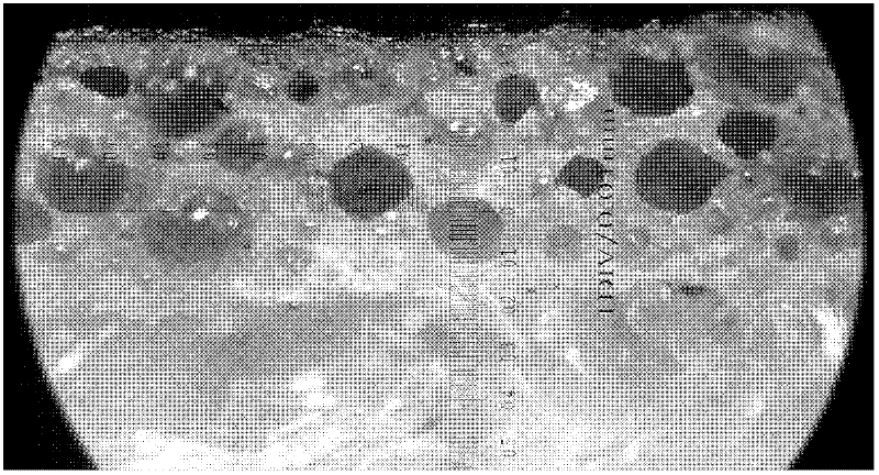 Method for producing synthetic leather by using solvent-free double-component polyurethane scraping and coating method