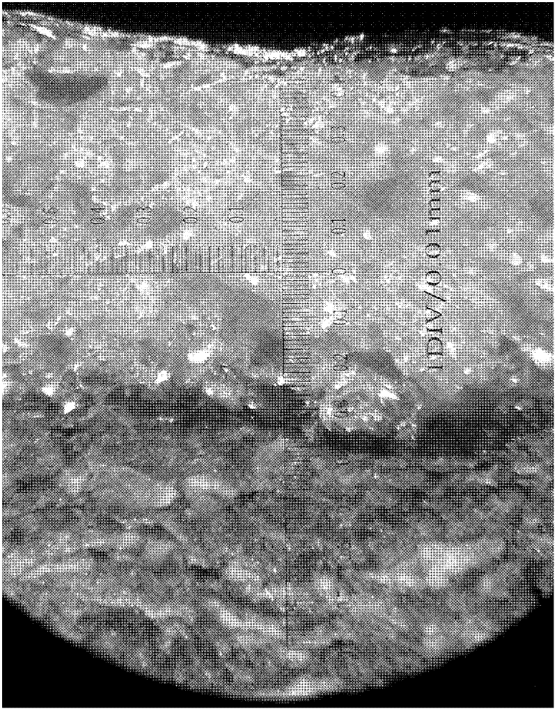 Method for producing synthetic leather by using solvent-free double-component polyurethane scraping and coating method