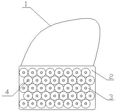 Moisture-absorption bag capable of being shiny under illumination and not easy to slide