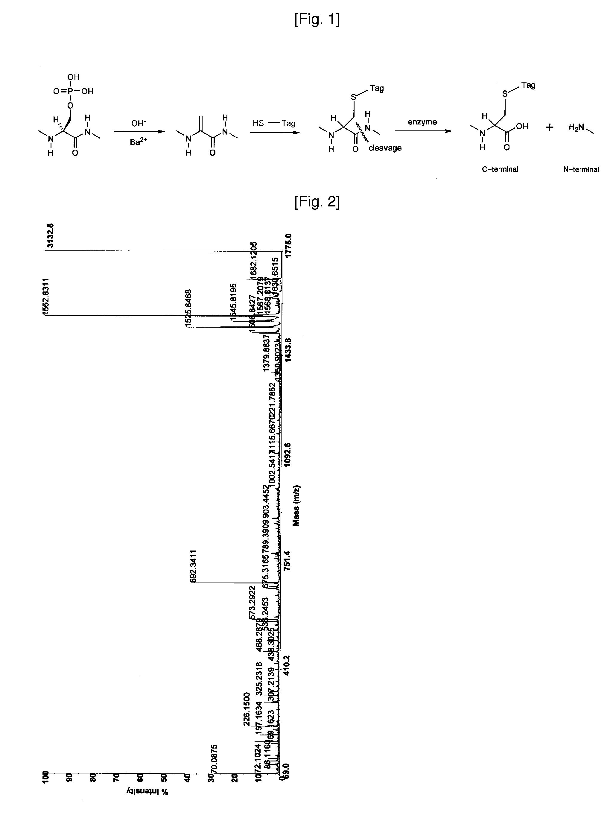 In-Gel Tagging And In-Gel Digestion For Phosphoproteins Analysis And Phosphorylation Site Identification