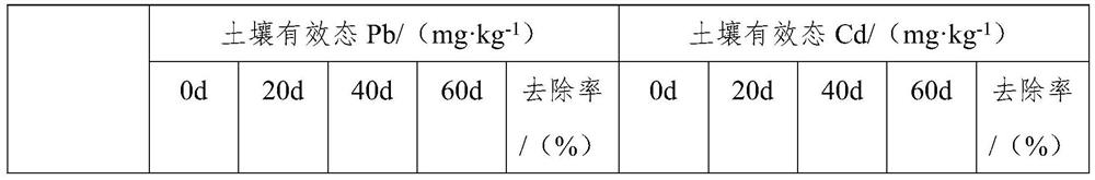 Novel soil heavy metal fixing agent and preparation method thereof