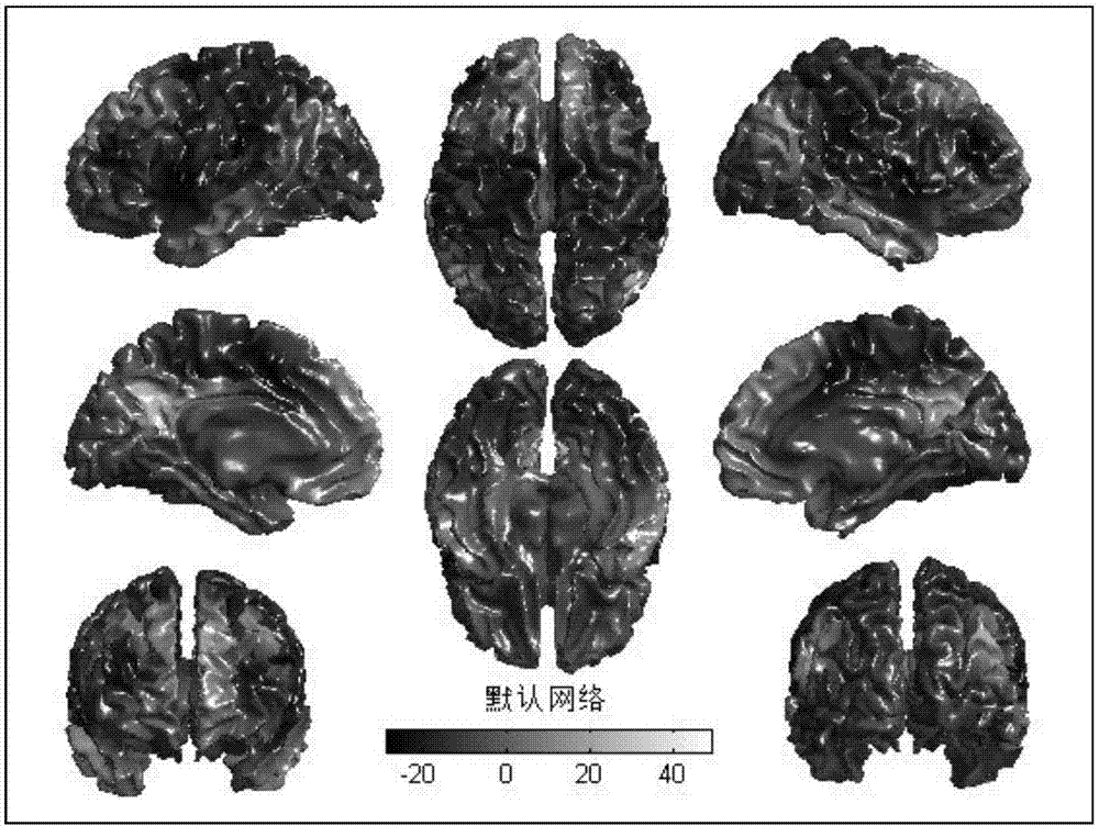 Human brain consciousness state prediction device