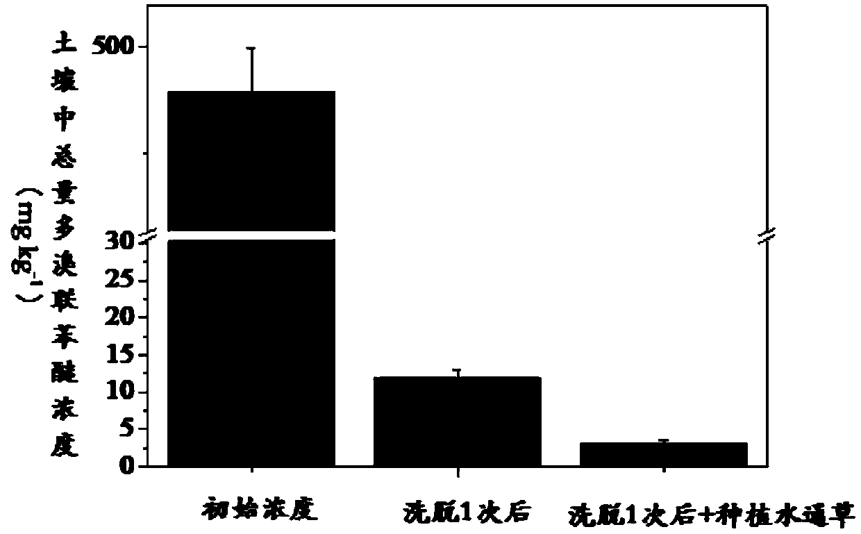 Chemical elution-plant combined remediation method of polybrominated diphenyl ether and heavy metal compound contaminated soil