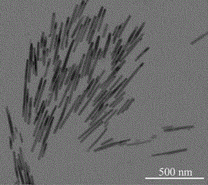 Method for preparing caesium-lead halide nanorod and product obtained through method