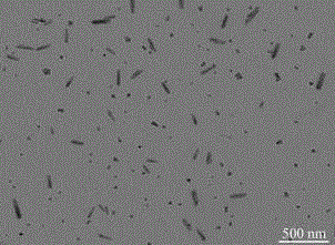 Method for preparing caesium-lead halide nanorod and product obtained through method