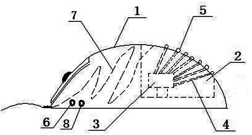 Massaging mouse capable of warming hand