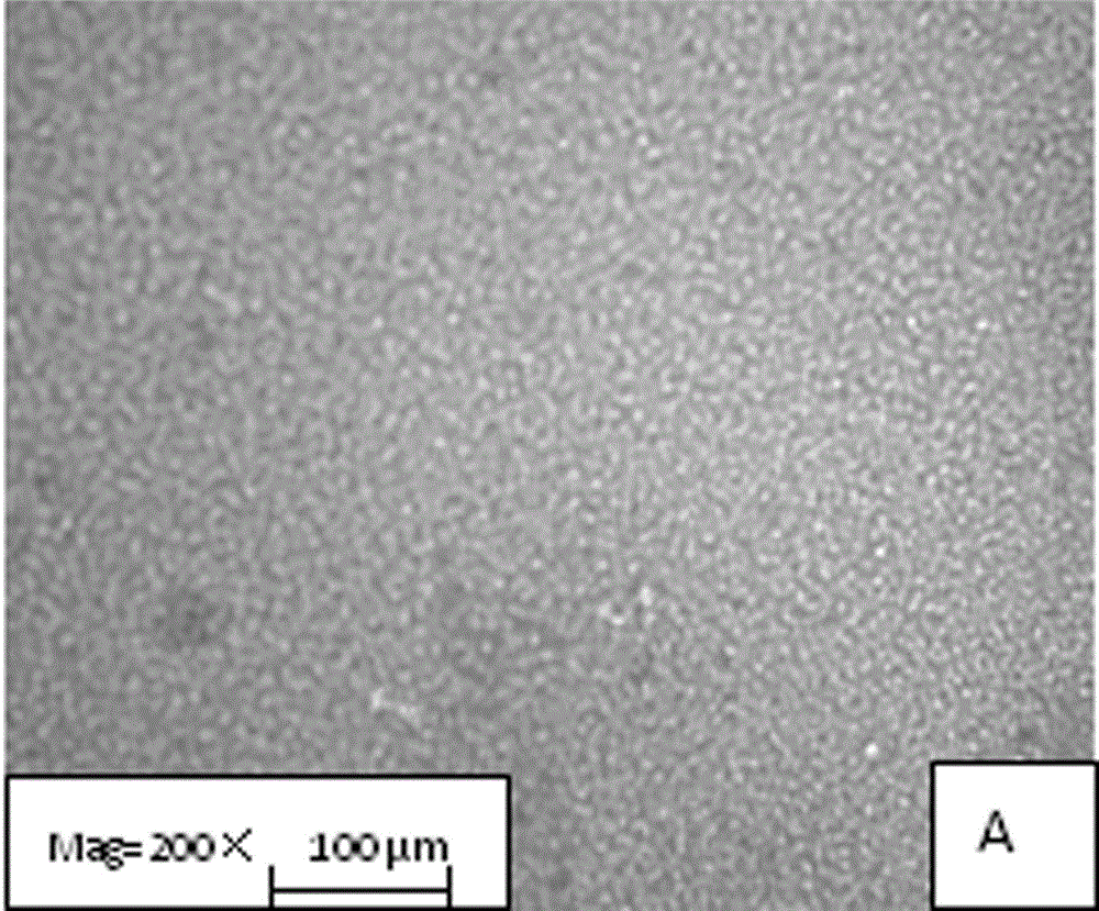 Polysulfone side chain grafted polymerized tertiary amine micro-filtration membrane