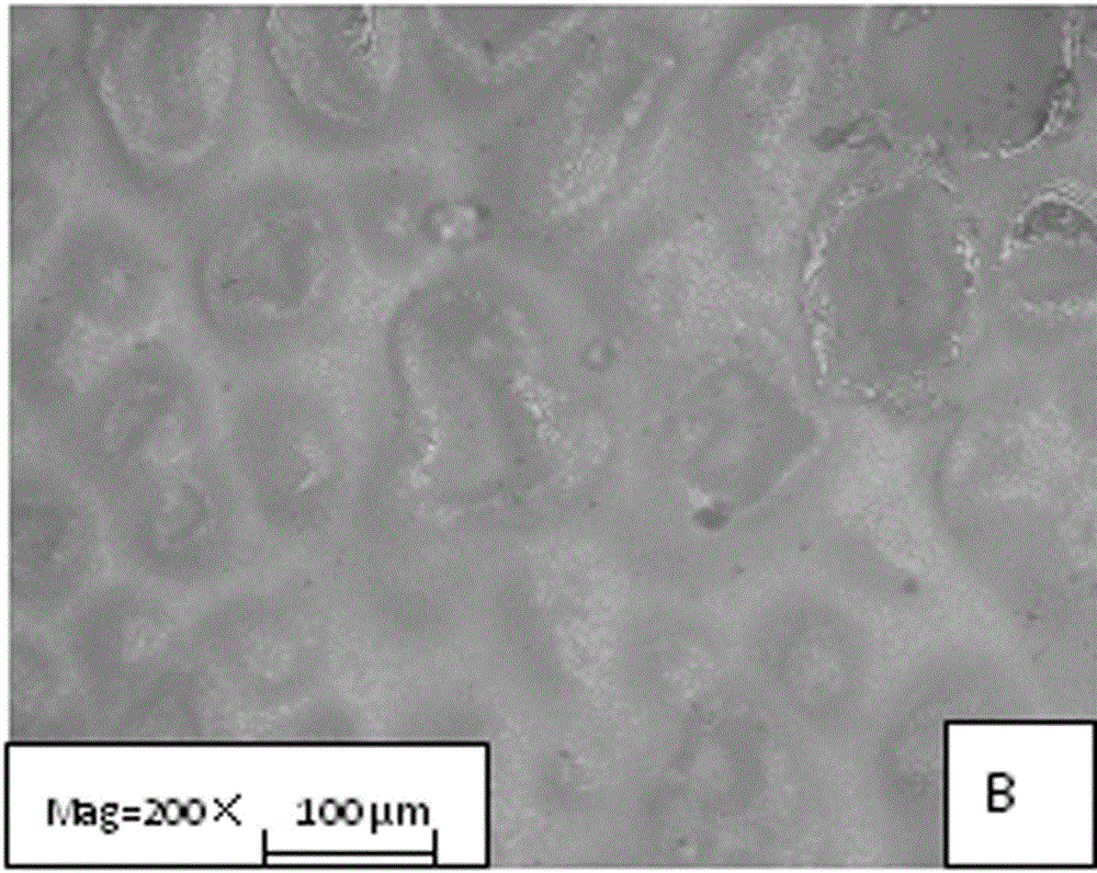 Polysulfone side chain grafted polymerized tertiary amine micro-filtration membrane