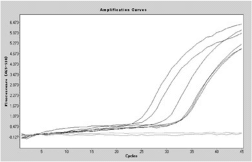 Primers capable of simultaneously detecting various diarrhea pathogenic bacteria and application of primers