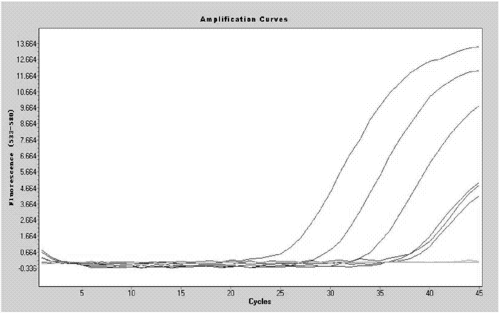 Primers capable of simultaneously detecting various diarrhea pathogenic bacteria and application of primers