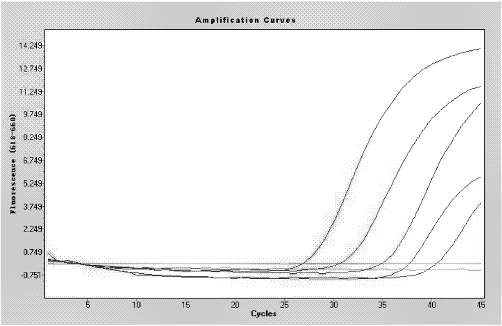 Primers capable of simultaneously detecting various diarrhea pathogenic bacteria and application of primers