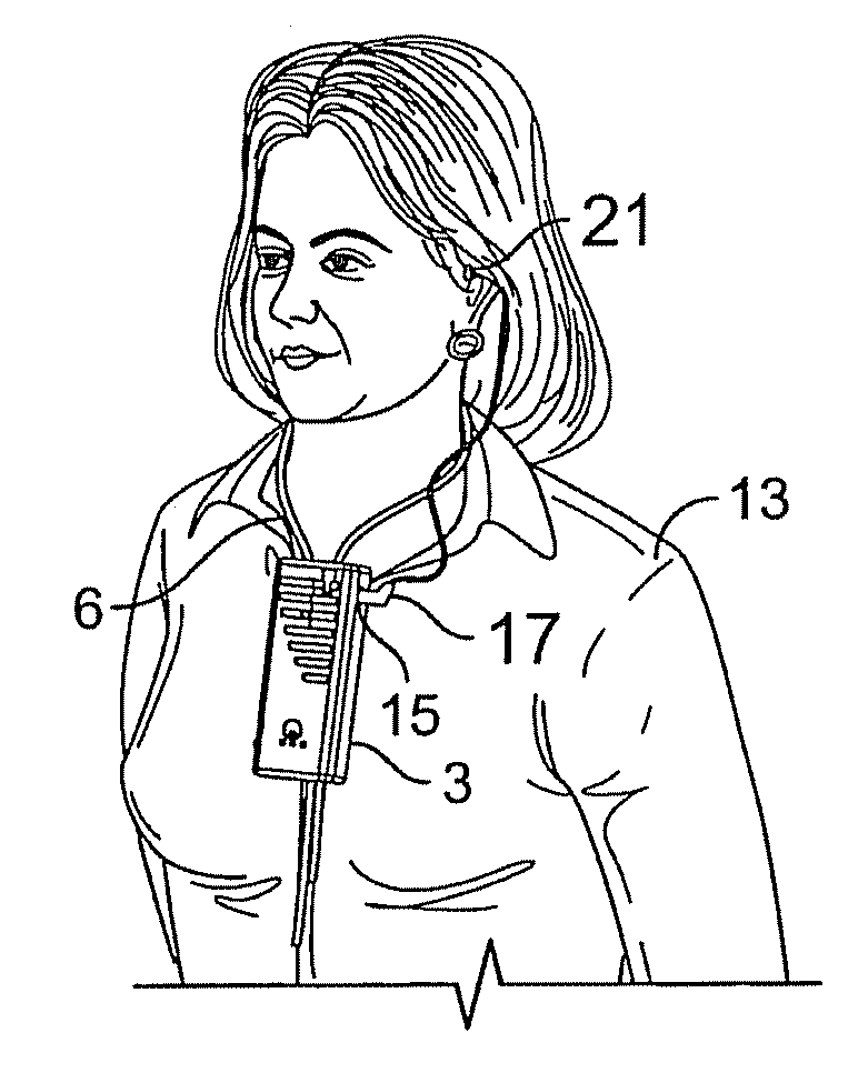 Companion microphone system and method