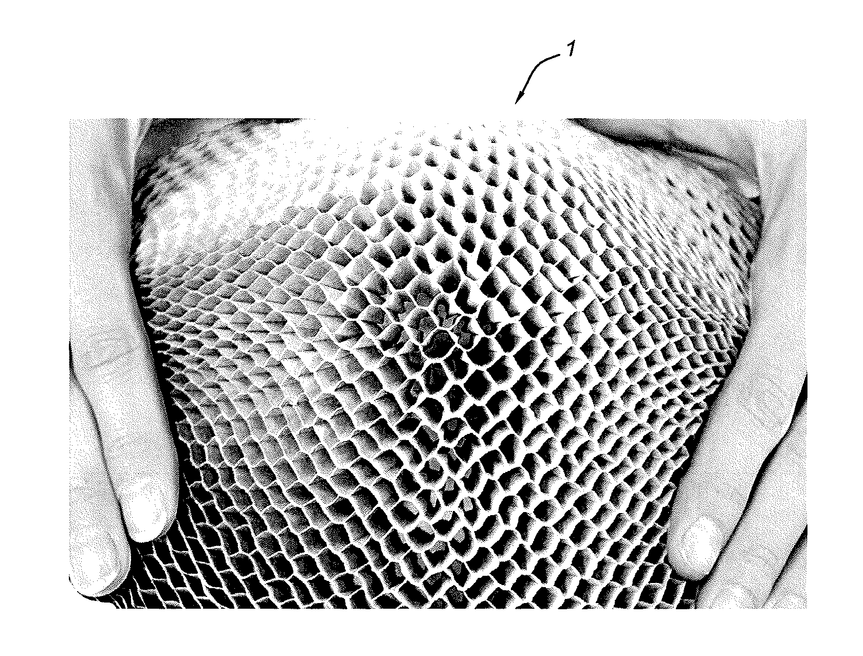 Cellular structure for double curvature panel