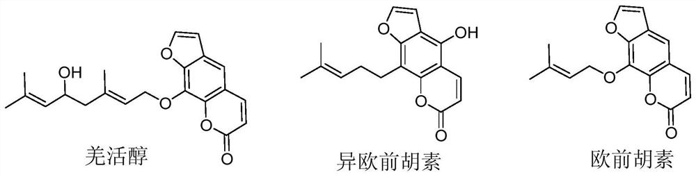 Method for online determination of furocoumarin content based on combination of MSPD extraction and FESI-MCDS-MEKC