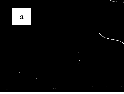 Modification method for activated carbon fiber