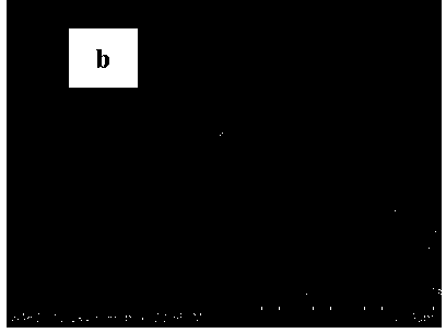 Modification method for activated carbon fiber