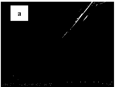 Modification method for activated carbon fiber