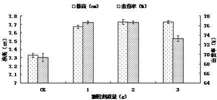 Preparation method of trichoderma sorghum granules