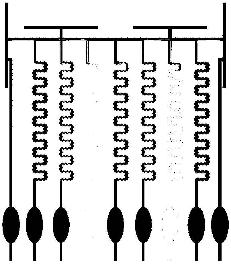 A microfluidic cell drug concentration gradient generator