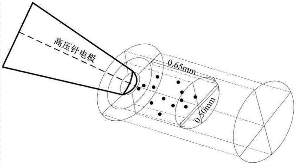 A numerical simulation method for three-dimensional dynamic evolution process of streamer discharge in insulating oil