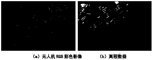 Building extraction method based on prior shape level set segmentation