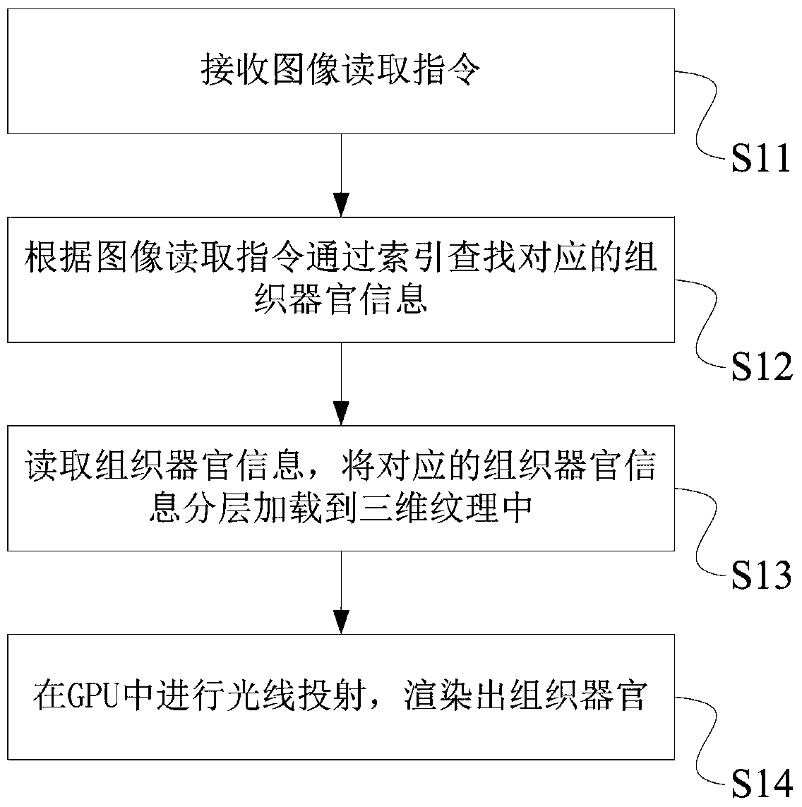 Method and system for volume rendering of human body tomographic data