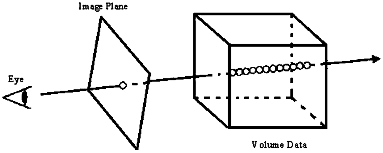 Method and system for volume rendering of human body tomographic data