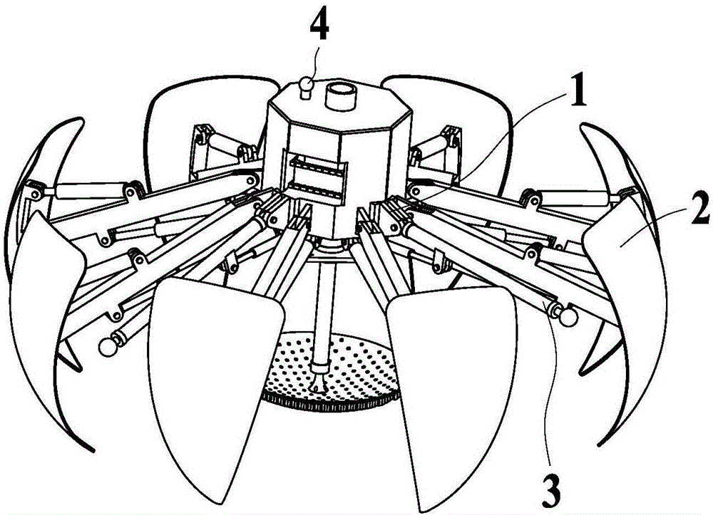 Walking and soil shoveling mechanism of small lobedfruit schizocapsarhizome picking robot