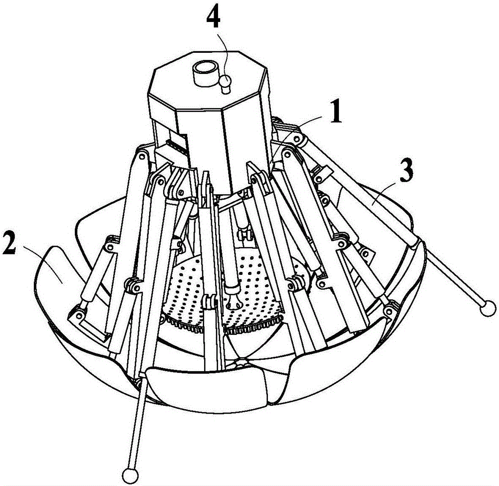 Walking and soil shoveling mechanism of small lobedfruit schizocapsarhizome picking robot