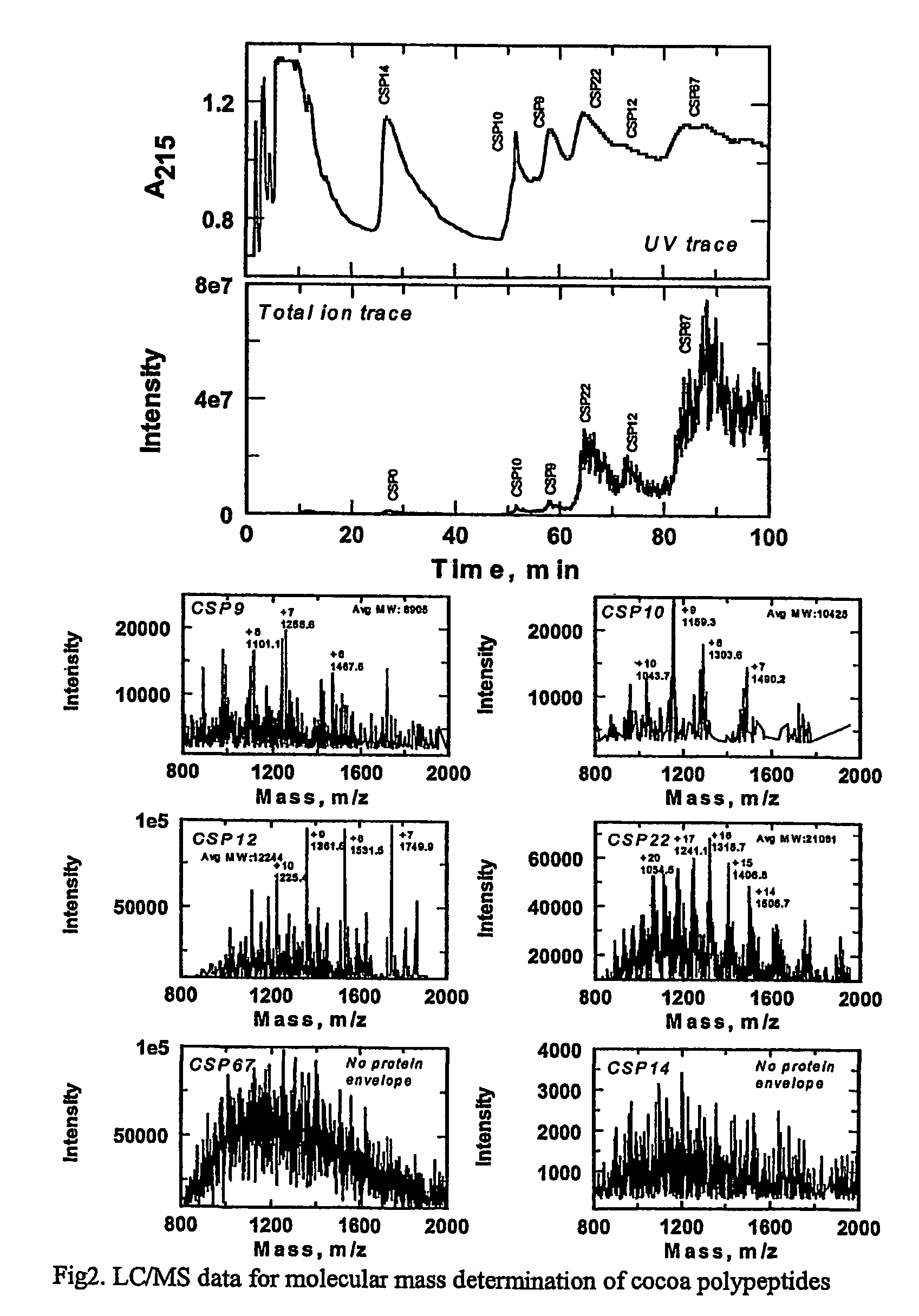 Cocoa polypeptides and their use in the production of cocoa and chocolate flavor