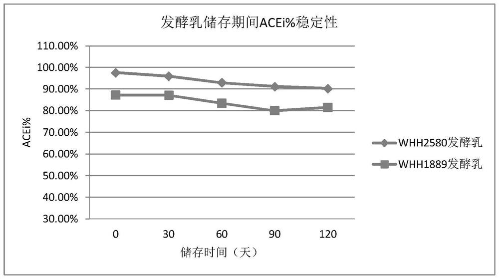 Application of lactobacillus helveticus in preparation of antihypertensive fermented product