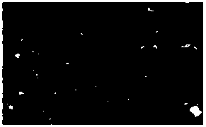 Composition with effect of sobering up and protecting liver, its preparation method and application