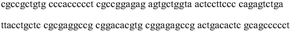 Cycli-dependent kinase 6 (CDK6) gene exon genetic groups used for cancer diagnosis and diagnosis kit