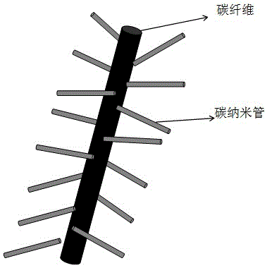 Preparation method for pine-needle-shaped carbon nanotube/carbon fiber conductive network composite carbon material