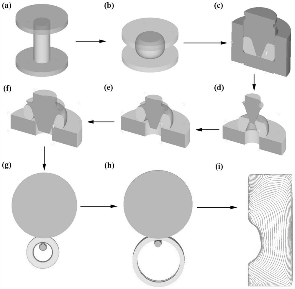 Eccentric ball bearing outer ring forming method for controlling distribution of metal flow lines along channels