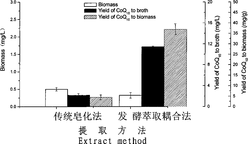 Process for preparing coenzyme Q10 by sphingosine unit cell strain fermentation, extraction and coupling