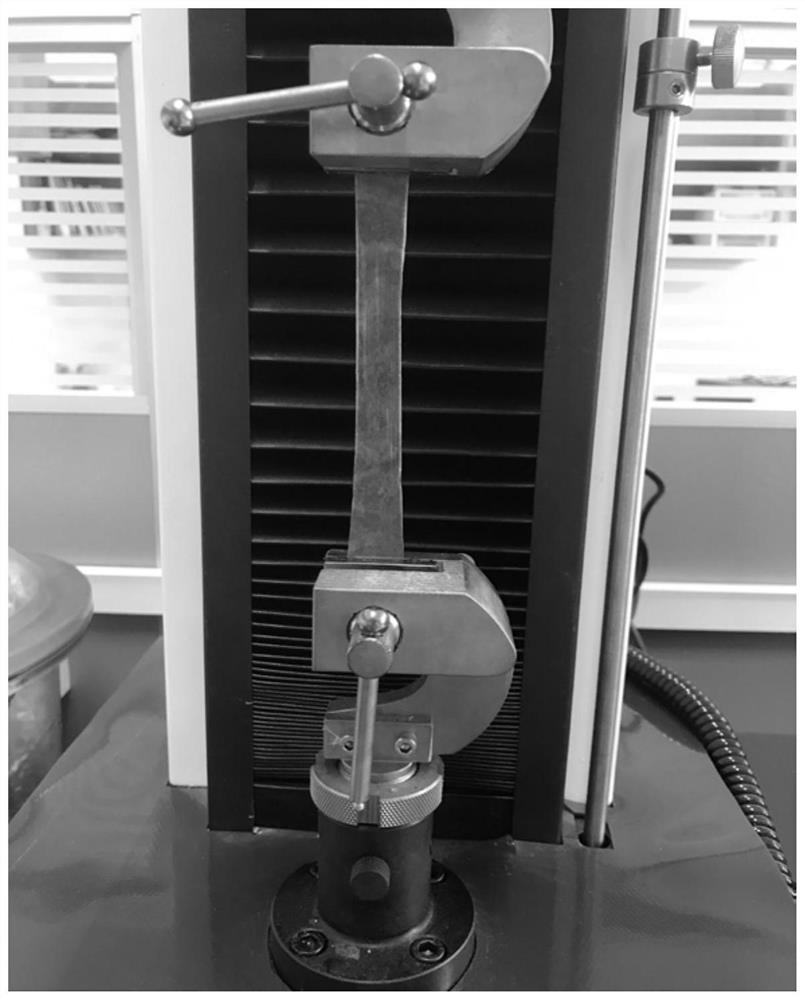 Method for preparing collagen casing by wet method through food synthesis bioengineering technology