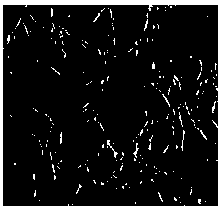 Preparation method of serum-free freezing medium of human umbilical cord mesenchymal stem cells (hUC-MSCs)