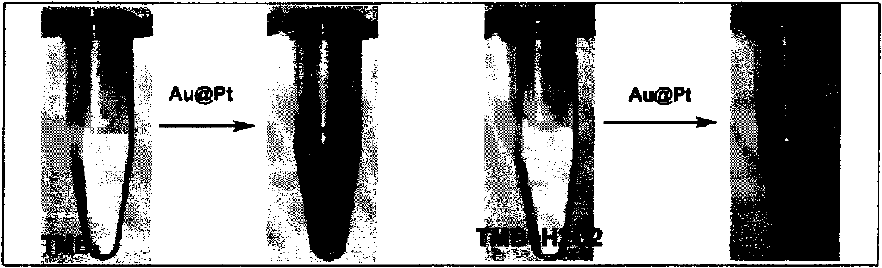 Gold-core/platinum-shell nano bar analogue enzyme solution and preparation method thereof